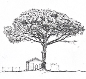 Environmental Architecture Sketch
